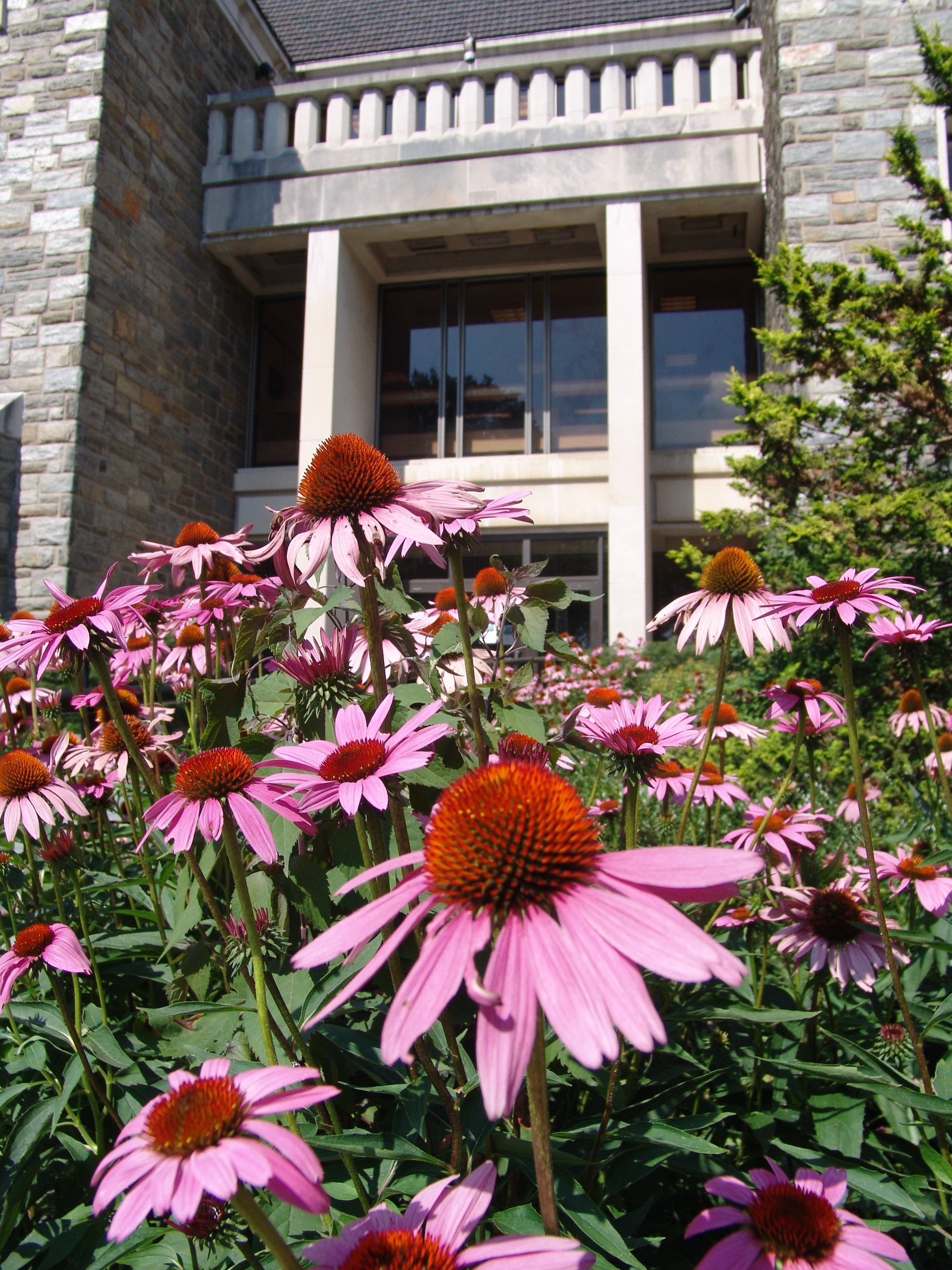 Scott Arboretum Exterior