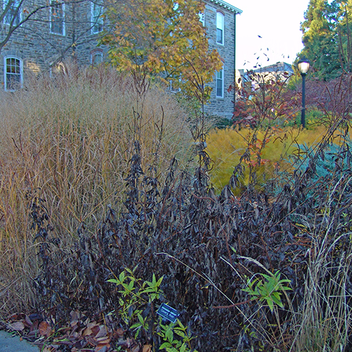 Seats at the Scott Arboretum